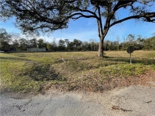 Listing Image #3 - Others for sale at HAAS Road lot: 1-13, Alton LA 70460