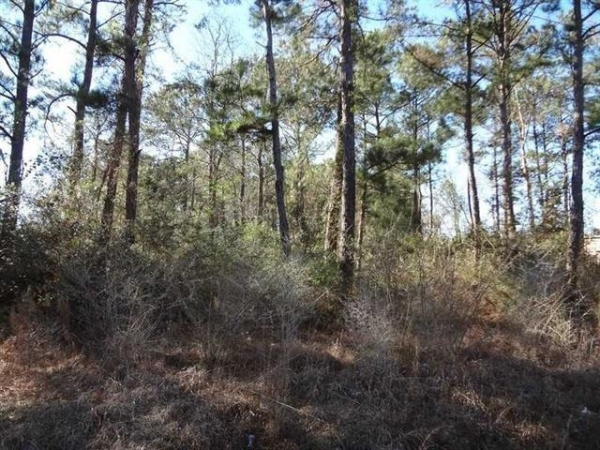 Listing Image #2 - Others for sale at AMBER Street lot: 14A, Slidell LA 70461