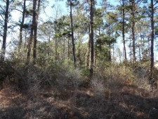 Listing Image #2 - Others for sale at AMBER Street lot: 14A, Slidell LA 70461