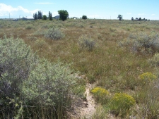 Listing Image #2 - Others for sale at 0 Galloway/Belgian Avenue, Moriarty NM 87035