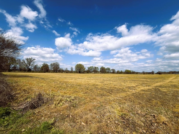 Listing Image #1 - Land for sale at Jay Bird Lane, Bells TN 38006