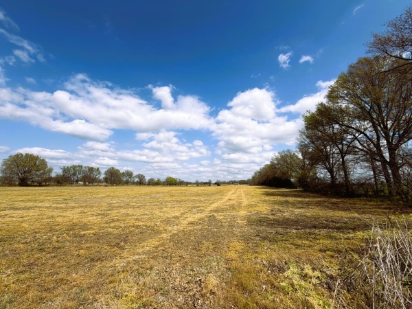 Listing Image #3 - Land for sale at Jay Bird Lane, Bells TN 38006