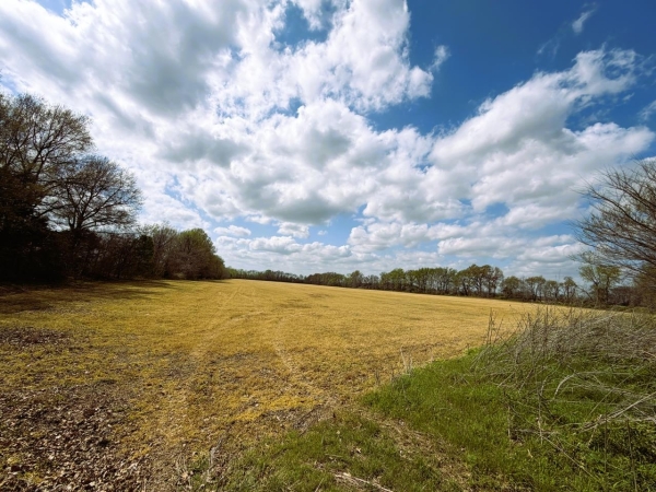 Listing Image #4 - Land for sale at Jay Bird Lane, Bells TN 38006
