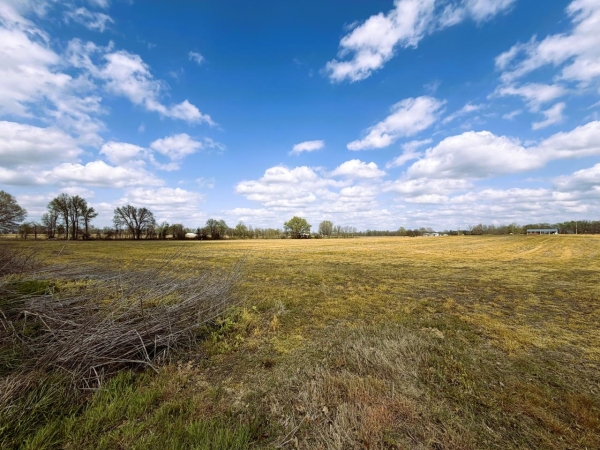 Listing Image #5 - Land for sale at Jay Bird Lane, Bells TN 38006