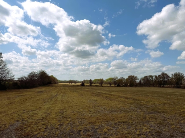 Listing Image #7 - Land for sale at Jay Bird Lane, Bells TN 38006