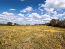 Listing Image #6 - Land for sale at Jay Bird Lane, Bells TN 38006