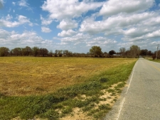 Listing Image #8 - Land for sale at Jay Bird Lane, Bells TN 38006