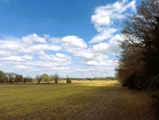 Listing Image #9 - Land for sale at Jay Bird Lane, Bells TN 38006