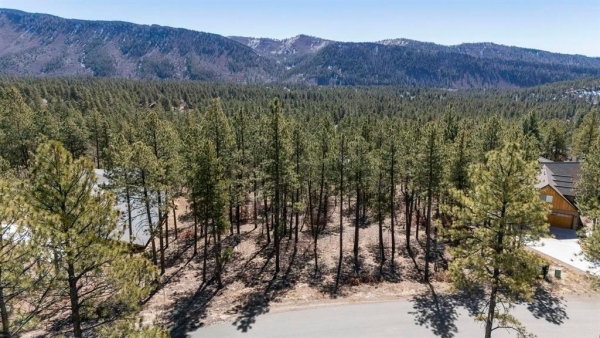 Listing Image #1 - Land for sale at 192 Cabin Creek 49, Durango CO 81301