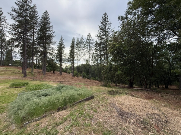 Listing Image #1 - Land for sale at 16824 Pine Grove Reservoir, Nevada City CA 95959