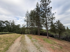 Listing Image #2 - Land for sale at 16824 Pine Grove Reservoir, Nevada City CA 95959