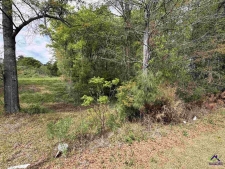 Listing Image #2 - Retail for sale at Old Perry Road, Bonaire GA 31005