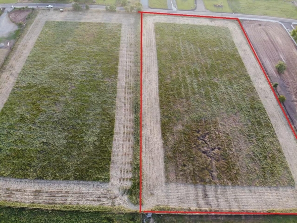 Listing Image #3 - Land for sale at 26044 N Graham Road, Galt CA 95632