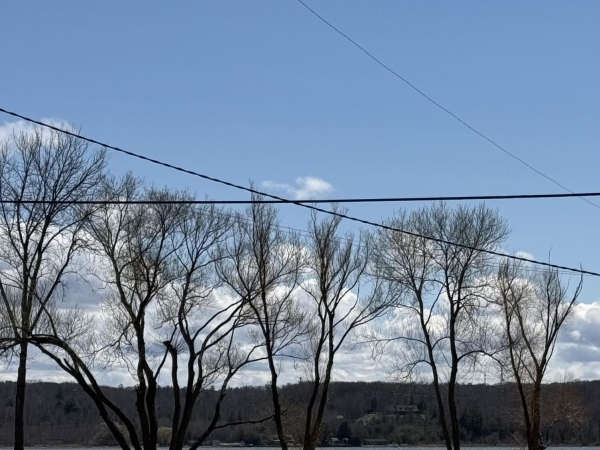 Listing Image #2 - Retail for sale at 4990 Main Street, Onekama MI 49675