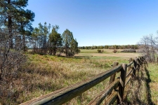 Listing Image #3 - Land for sale at 148 Dreamy Draw, Durango CO 81303