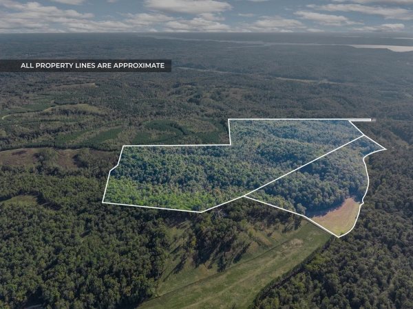 Listing Image #1 - Land for sale at Cox Hollow, Dover TN 37058