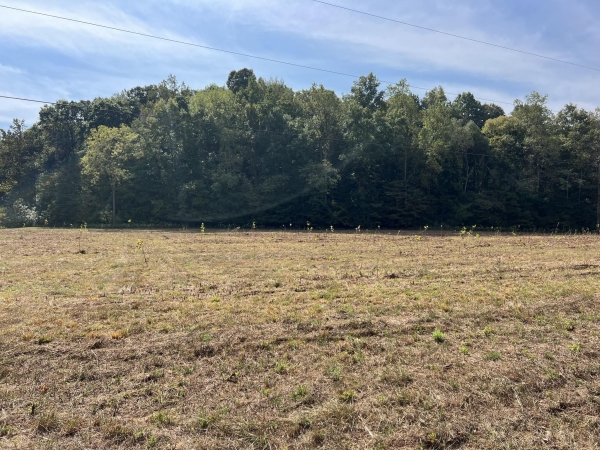 Listing Image #3 - Land for sale at Cox Hollow, Dover TN 37058