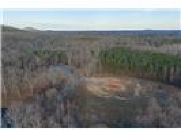 Listing Image #3 - Land for sale at 164 Linderman Lake Lane, Kings Mountain NC 28086