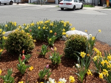 Industrial property for sale in Hadley, MA