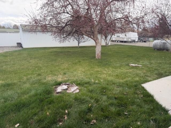 Listing Image #3 - Others for sale at 4289 N Montana Avenue, Unit #B, C, D, Helena MT 59602