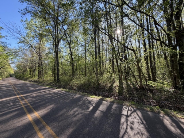 Listing Image #3 - Land for sale at 0 Kerrville Road, Millington TN 38053