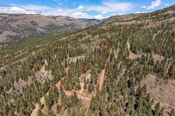 Listing Image #1 - Land for sale at 210 Grizzly 98, Durango CO 81301