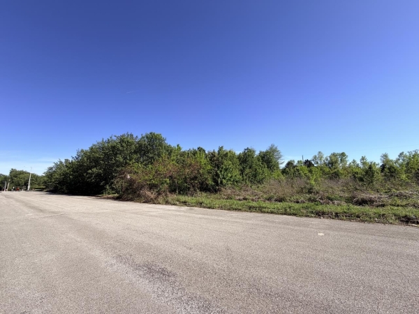Listing Image #4 - Land for sale at 0 English Towne Road, Memphis TN 38128