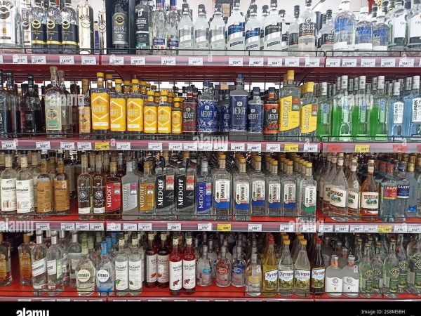 Listing Image #2 - Others for sale at 1518 Main St, 183 CT 06108