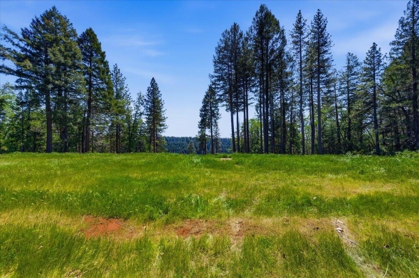 Listing Image #3 - Land for sale at 13907 Lightning Tree Road, Nevada City CA 95959