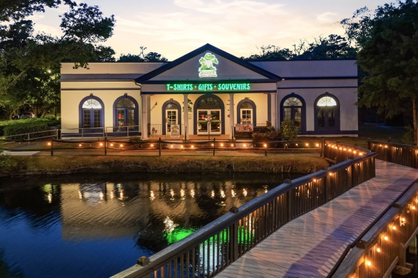 Listing Image #1 - Office for sale at 14319 Ocean Highway, Pawleys Island SC 29585