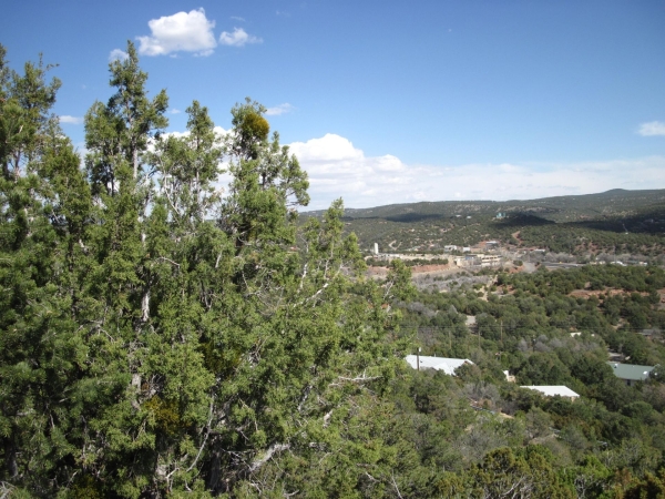 Listing Image #2 - Others for sale at 34 Eagle Trail, Tijeras NM 87059