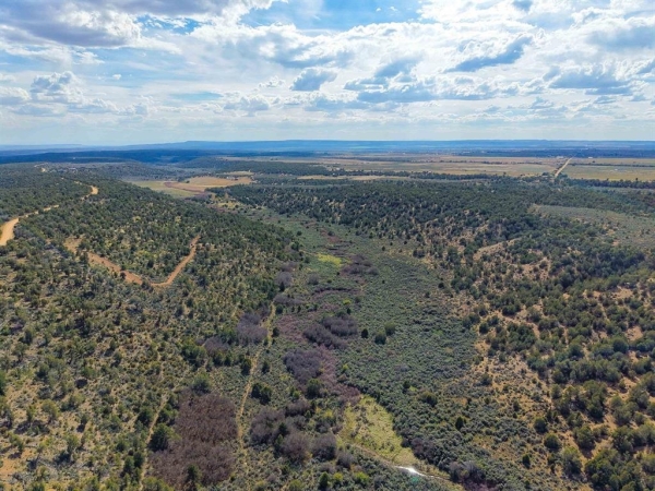 Listing Image #3 - Land for sale at TBD Cr 136, Hesperus CO 81326