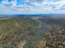 Listing Image #2 - Land for sale at TBD Cr 136, Hesperus CO 81326