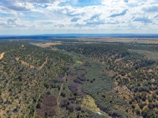 Listing Image #3 - Land for sale at TBD Cr 136, Hesperus CO 81326