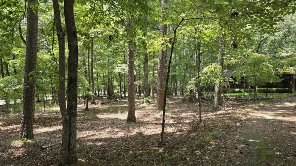 Listing Image #1 - Land for sale at 4647 Settles Bridge Road, Suwanee GA 30024