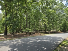 Listing Image #3 - Land for sale at 4647 Settles Bridge Road, Suwanee GA 30024