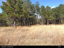 Listing Image #3 - Others for sale at N/A U S Hwy 19 S, Leesburg GA 31763