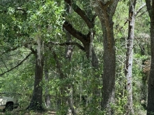 Land property for sale in Waveland, MS