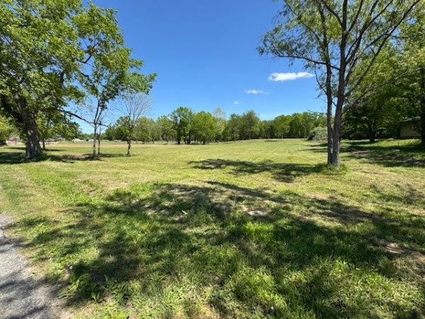 Listing Image #3 - Land for sale at 000 Christmas Tree Rd, Johnston City IL 62951 Listing Image #3 - Land for sale at 000 Christmas Tree Rd, Johnston City IL 62951