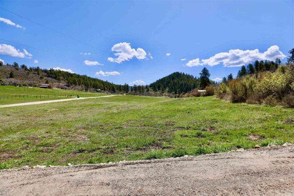 Listing Image #1 - Land for sale at 242 Pine Springs 49, Bayfield CO 81122