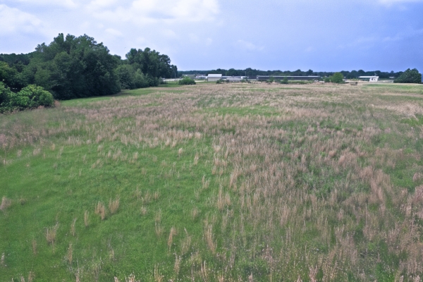 Listing Image #3 - Others for sale at 0000 W State Hwy 154, Yantis TX 75497