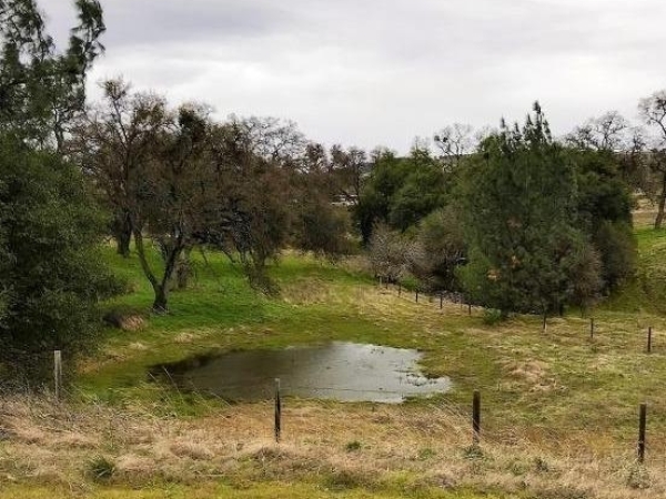 Listing Image #3 - Others for sale at 0 Hwy 12, Valley Springs CA 95252
