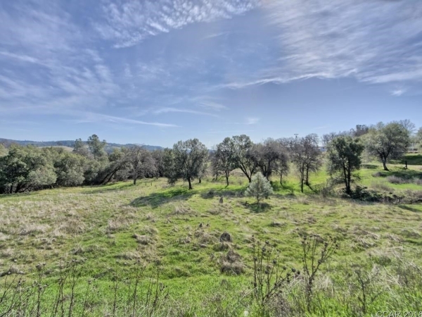 Listing Image #2 - Others for sale at 668 Murphys Grade Road, Angels Camp CA 95222