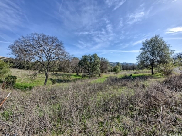 Listing Image #3 - Others for sale at 668 Murphys Grade Road, Angels Camp CA 95222