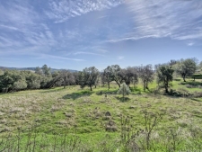 Listing Image #2 - Others for sale at 668 Murphys Grade Road, Angels Camp CA 95222
