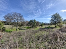Listing Image #3 - Others for sale at 668 Murphys Grade Road, Angels Camp CA 95222