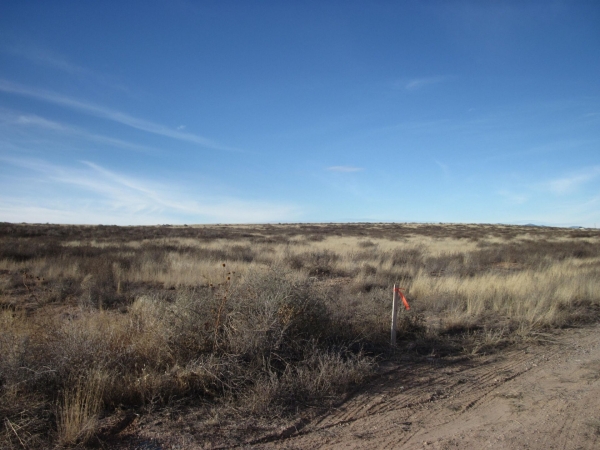 Listing Image #1 - Others for sale at 16 Mesa Road, Moriarty NM 87035 Listing Image #1 - Others for sale at 16 Mesa Road, Moriarty NM 87035