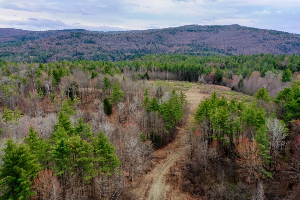 Listing Image #3 - Others for sale at 984 John Stark Highway, Newport NH 03773