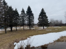Listing Image #3 - Others for sale at 7592 E Houghton Lake Road, Merritt MI 49667