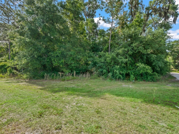 Listing Image #3 - Land for sale at 2823 W C-48, Bushnell FL 33513